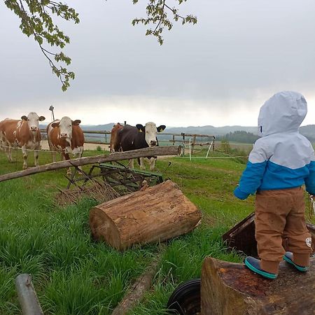 Ferienwohnung Im Muehlviertler Panorama Vierseithof Lembach im Mühlkreis Extérieur photo